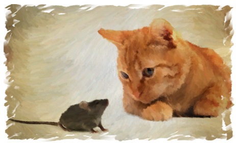 Γάτα και ποντικός